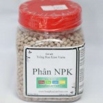 Phan NPK 16-16-8