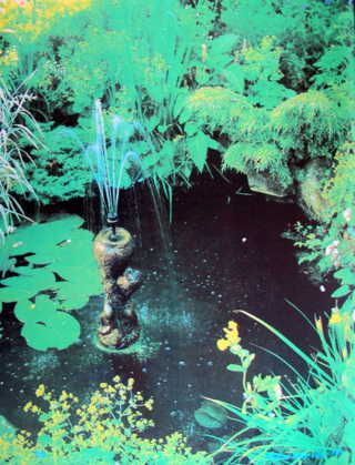 nước trong trang trí sân vườn