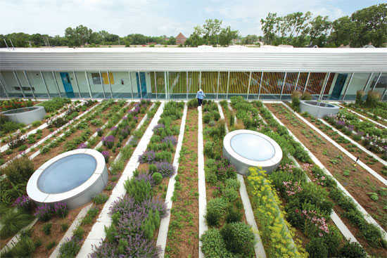 Mô hình nông nghiệp đô thị trên sân thượng của một tòa nhà. (Ảnh: TechNewsWorld)