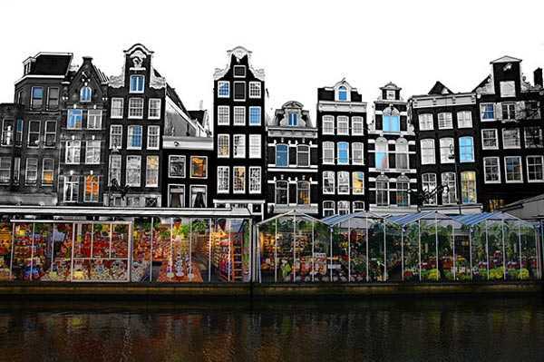Chợ hoa nổii duy nhất trên thế giới tại Amsterdam