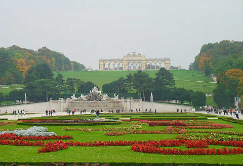 Những hàng cây trong Vườn hoàng gia Schönbrunn mang dáng vẻ đặc biệt và vẫn đang đổi màu
