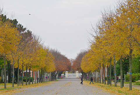 Lối vào chính của Công viên nghĩa trang Vienna, nơi yên nghỉ của nhiều danh nhân thế giới