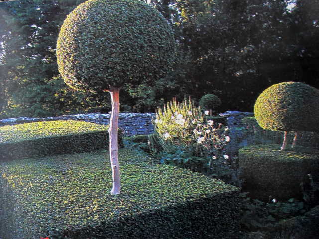 Những loại cây xanh quanh năm có thể cho quá nhiều bóng tối, nhưng khi được cắt xén theo những hình dạng bậc thang và cung tròn thì chúng tạo sự cần bằng về ánh sáng và bóng tối. 
