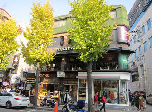 Cây bạch quả được trồng khá phổ biến trên đường phố Seoul. Ảnh: Parksihoo4u.com.