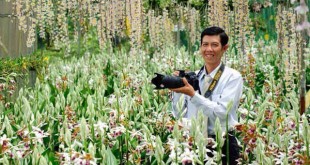 Anh Sỹ trong vườn lan đang nở rộ dịp Tết Nguyên đán 2016. Ảnh: Q.H