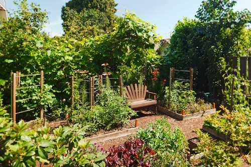 Khu vườn xanh mát với chiếc ghế nhỏ xinh dành cho những giây phút nghỉ ngơi thư giãn