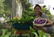Chị Ly bên vườn rau Việt đủ loại ở Malaysia.