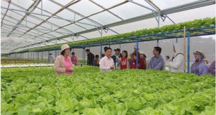 Doanh nghiệp tham quan trang trại của hộ nông dân VietGap tại Đà Lạt.