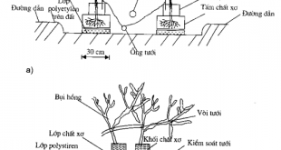 Hình 2.8 : Hệ thống trồng bằng chất xơ. a) hệ thống trồng cà chua b) Hê thống trồng hoa hồng